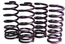 Ford Mustang Steeda Sport Lowering Springs - 16045