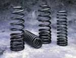 Suspension Techniques Speedtech 63112 Lowering Springs