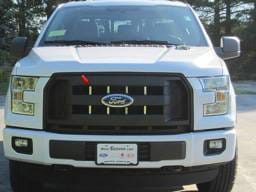 FORD F-150 2/4dr QAA Stainless 8pcs Grille Accent SG55308