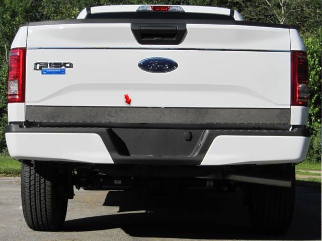 FORD F-150 2/4dr QAA Stainless 1pcs Tailgate Accent RT55309