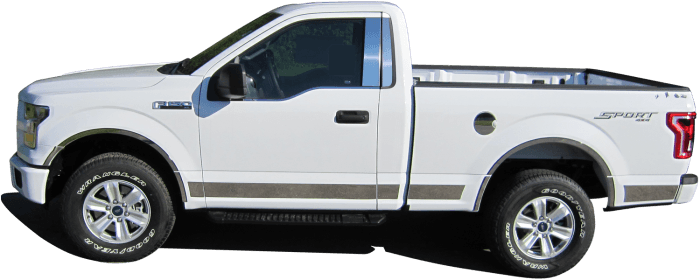 FORD F-150 2dr QAA Stainless 10pcs Rocker Panel Trim TH55309 thumbnail 3