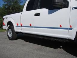 FORD F-150 2dr QAA Stainless 10pcs Molding Insert MI55309