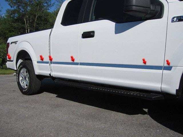 FORD F-150 2dr QAA Stainless 10pcs Molding Insert MI55309