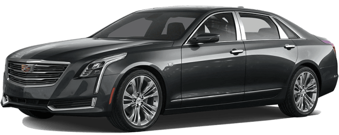 CADILLAC CT6 4dr QAA Stainless 6pcs Pillar Trim PP56231 thumbnail 2