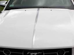 FORD MUSTANG 2dr QAA Stainless 1pcs Hood Trim HT45351