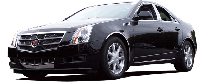 CADILLAC CTS 4dr QAA Stainless 2pcs License Plate Bar Accent LB48250 thumbnail 2