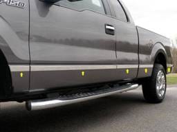 FORD F-150 2dr QAA Stainless 10pcs Molding Insert MI49311