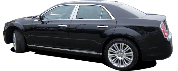 CHRYSLER 300 4dr QAA Stainless 8pcs Rocker Panel Trim TH51760 thumbnail 5