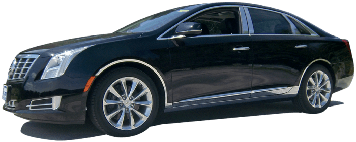 CADILLAC XTS 4dr QAA Stainless 8pcs Rocker Panel Trim TH53245 thumbnail 2