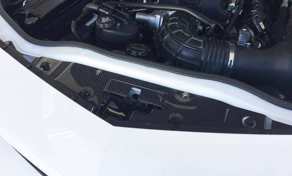 Chevy Camaro Type-CAM Anderson Composites Fiber Radiator Cover AC-CP1011CHCAM thumbnail 6