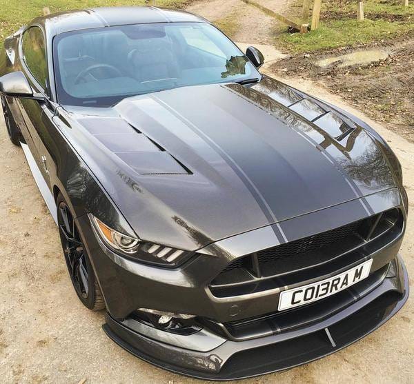 Ford Mustang Heat Extractor Anderson Composites Fiber Hood AC-HD15FDMU-SA-DS thumbnail 4