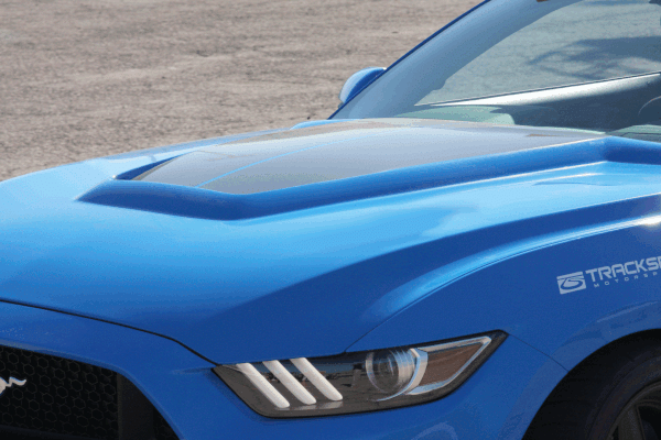 Ford Mustang GT350 Style Anderson Composites Glass Body Kit- Hood AC-HD15FDMU-GR-GF thumbnail 2