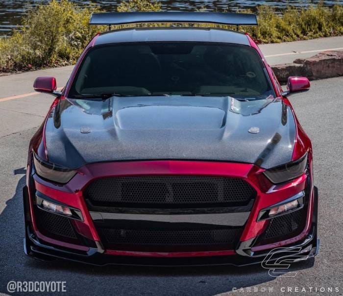 Ford Mustang GT350 DriTech Carbon Fiber Body Kit- Hood 112734 thumbnail 2