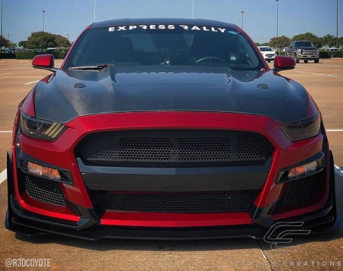 Ford Mustang GT350 DriTech Carbon Fiber Body Kit- Hood 112734 thumbnail 5