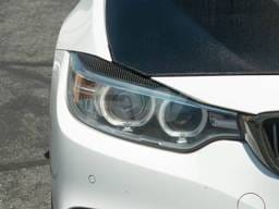 BMW F30 F31 Carbon Fiber Eyelids bmwf30011