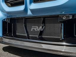 BMW G87 M2 ABS Mesh Lower Grille Guard bmwg87049