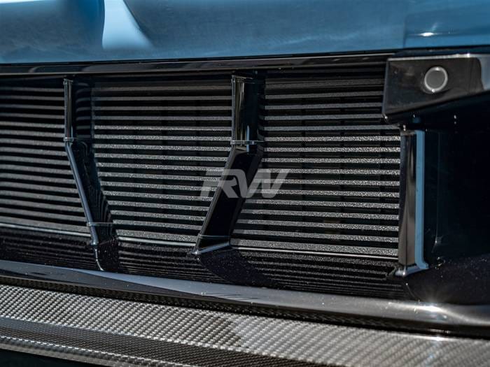BMW G87 M2 ABS Mesh Lower Grille Guard bmwg87049 thumbnail 3